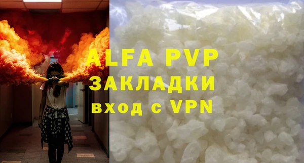 индика Богородск