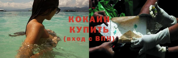 mix Богородицк