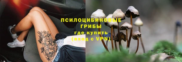 mix Белокуриха