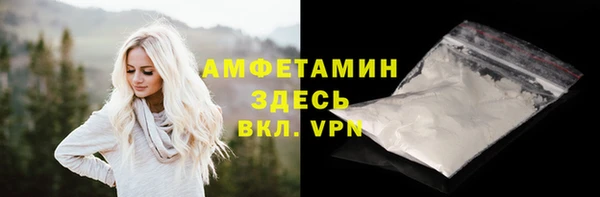 индика Богородск