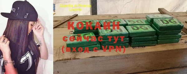 индика Богородск