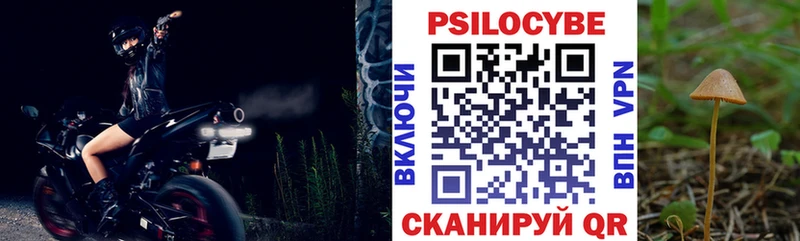 купить  цена  Клинцы  Псилоцибиновые грибы мицелий 